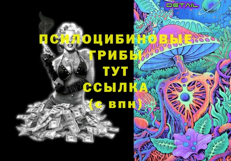 Где купить наркоту Малая Вишера Cocaine  blacksprut вход  A PVP  Конопля  ГАШИШ  Меф мяу мяу 